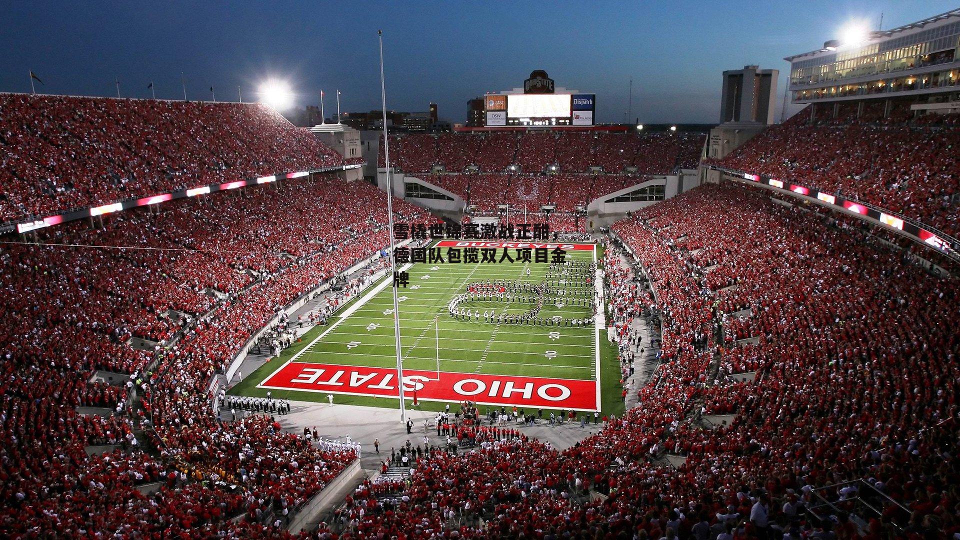 雪橇世锦赛激战正酣，德国队包揽双人项目金牌