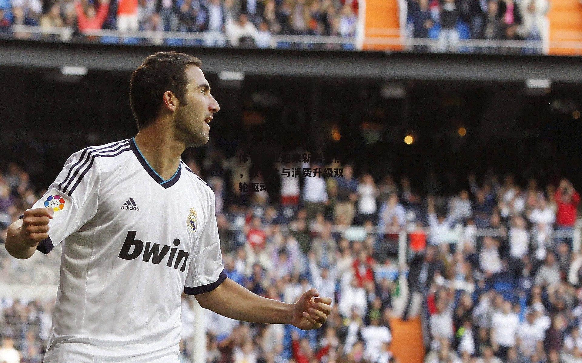 体育产业迎来新增长点,数字化与消费升级双轮驱动