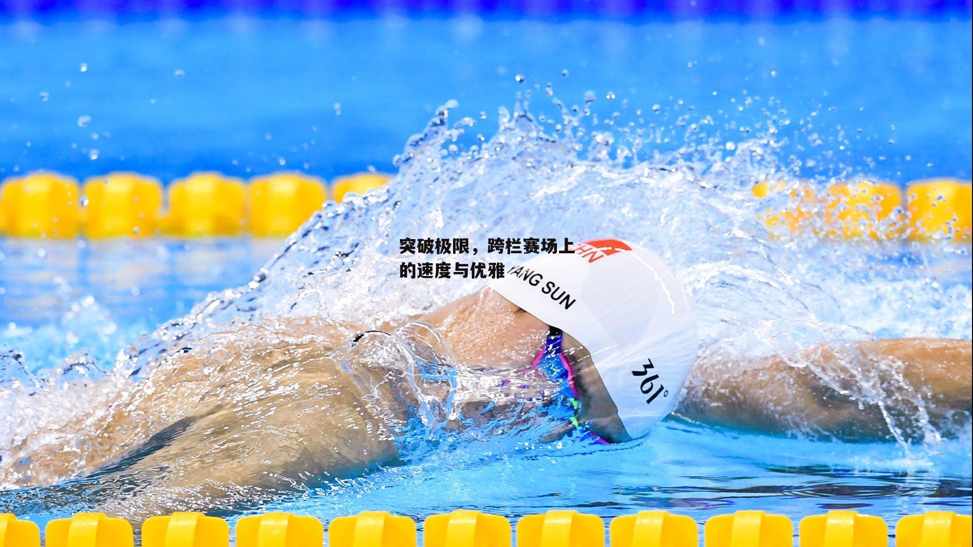 突破极限,跨栏赛场上的速度与优雅