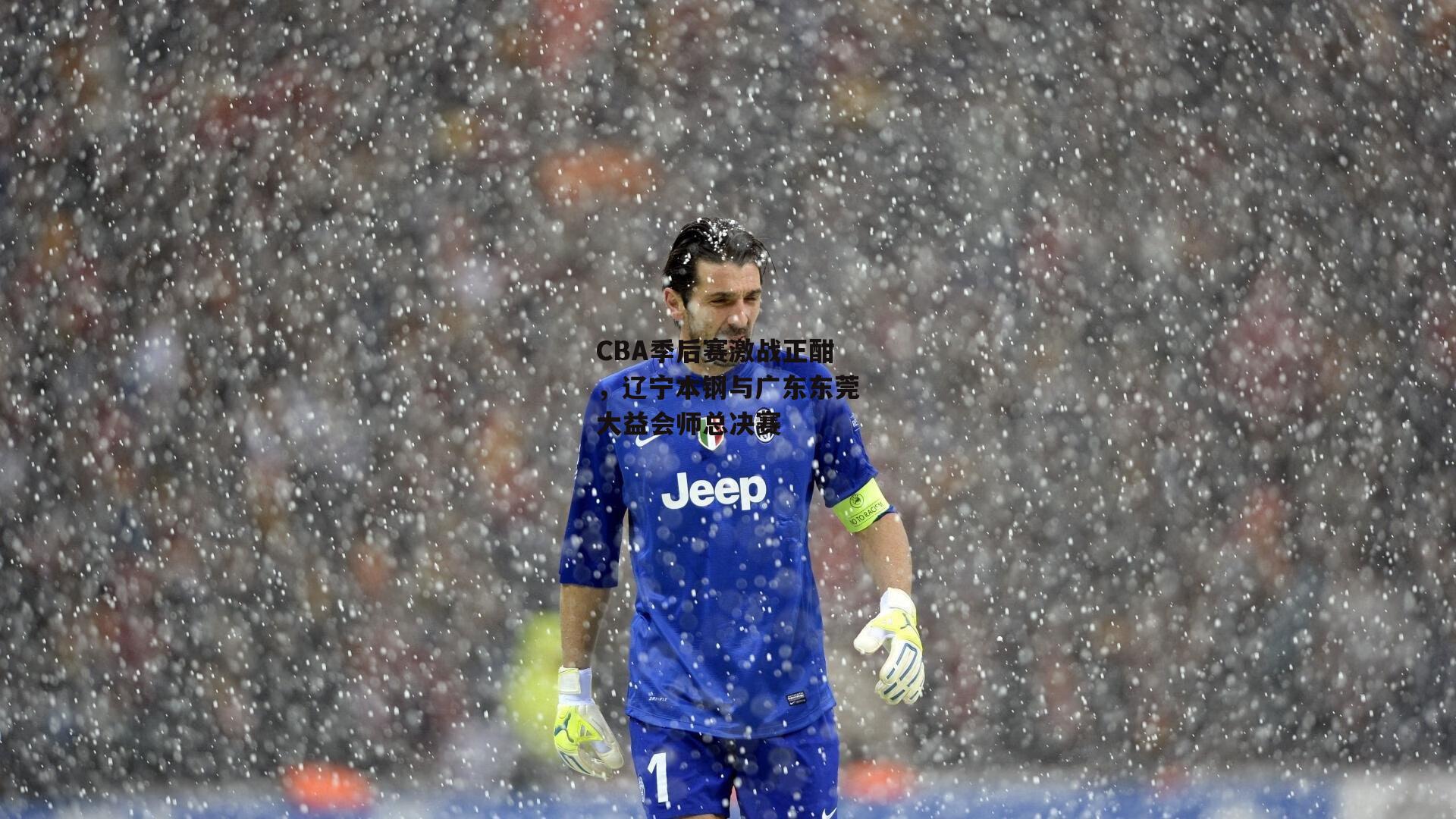 CBA季后赛激战正酣,辽宁本钢与广东东莞大益会师总决赛